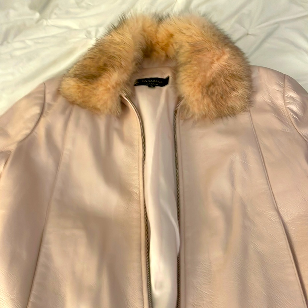 Detachable Collar